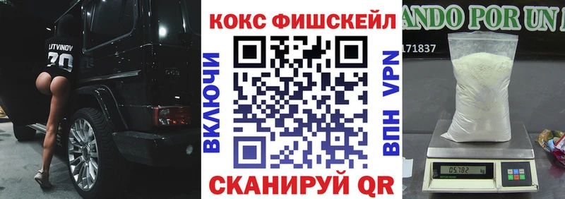 Купить где  Котельнич  COCAIN FishScale 