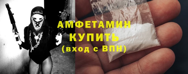 метадон Богданович