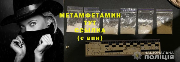 метадон Богданович
