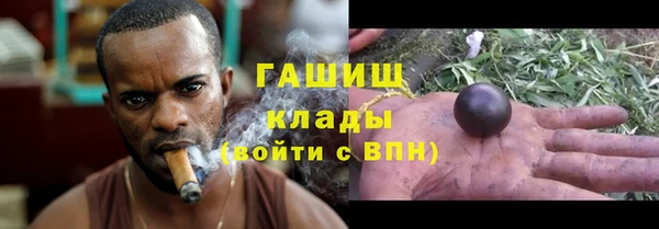 спиды Бородино