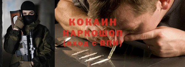 метадон Богданович
