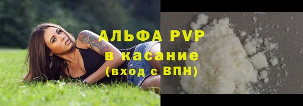 спиды Бородино