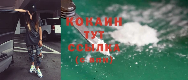 метадон Богданович