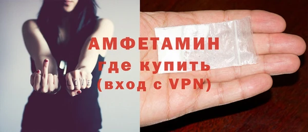 метадон Богданович