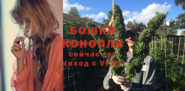 метадон Богданович